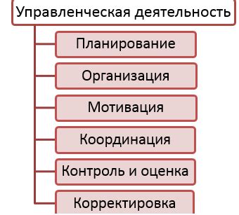 Структура и деятельность