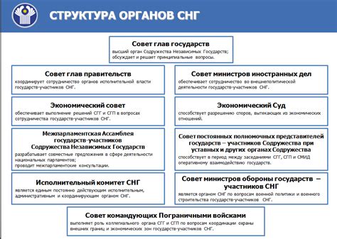 Структура и основная информация