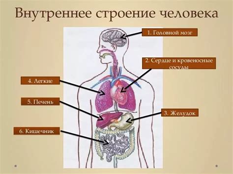 Структура и расположение