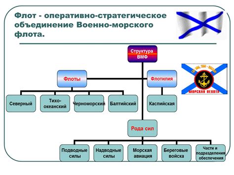 Структура и цель общин