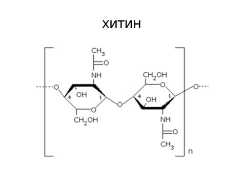 Структура хитина