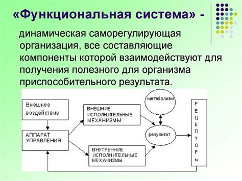 Структурные изменения линолеума