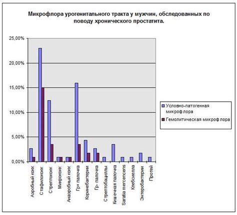 Сумма нормофлоры: почему она так важна для мужчин?