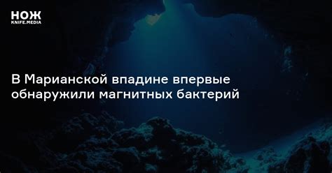 Суровые условия жизни в Марианской впадине