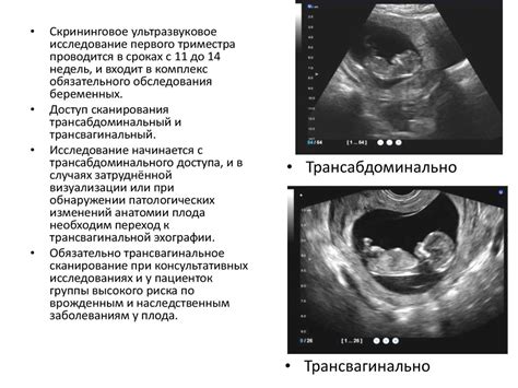 Суть биохимического скрининга в первом триместре