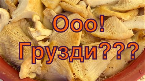 Сушка груздей: простой способ сохранить грибы