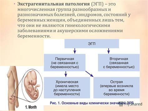 Существующие заболевания и патологии