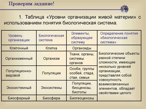 Сущность и свойства материи