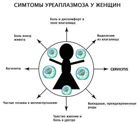 Схемы лечения уреаплазмы у женщин