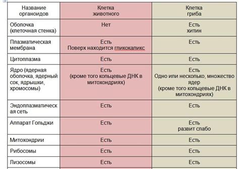 Сходства и отличия между различными царствами