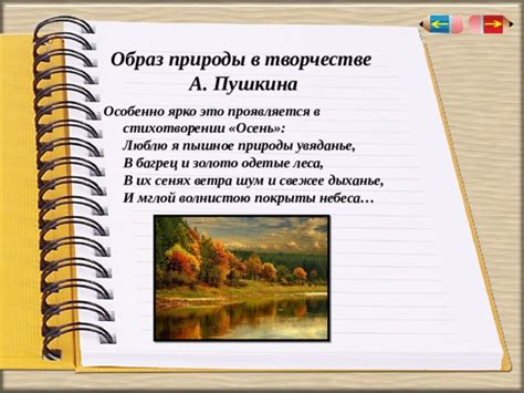 Сходства и различия поля и леса в стихотворении