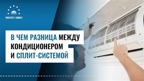 Сходства между гелем и кондиционером