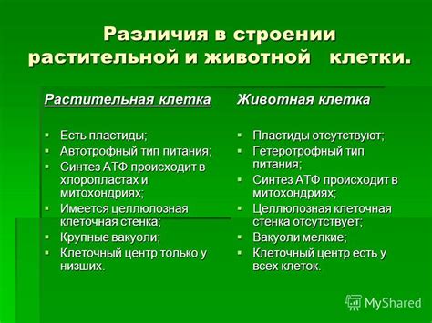 Сходство и различия в обществознании