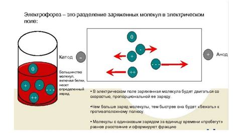 Сходство плотности как метод разделения