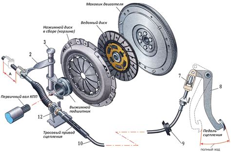 Сцепление автомобиля