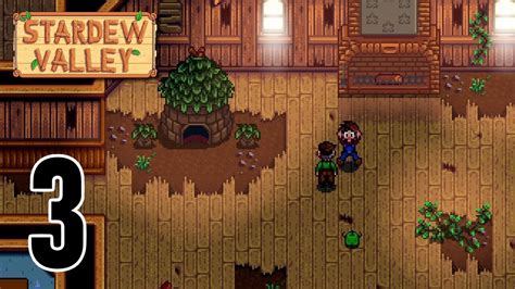 Тайна клуба в игре Stardew Valley