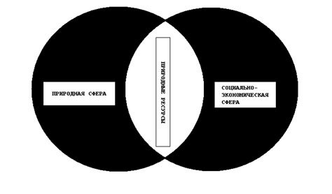 Темный и сырой лес как уникальная часть природной среды