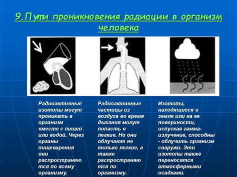 Температура, окружающая среда и его влияние на развитие пожара