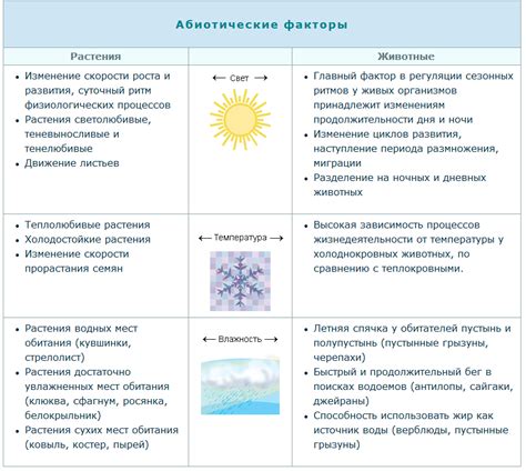 Температура, свет и влажность