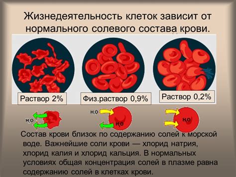 Температура 42 градуса: как изменяется состав крови