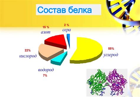 Температурные условия и функция белков