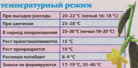 Температурный режим и вяние листьев огурцов