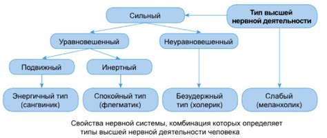 Темы и содержание урока ВНД