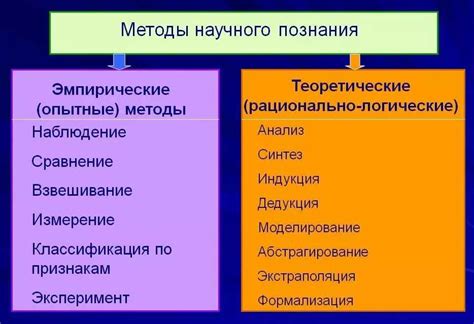 Теоретический уровень научного познания: что входит в него?