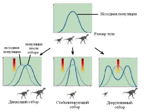 Теория естественного отбора