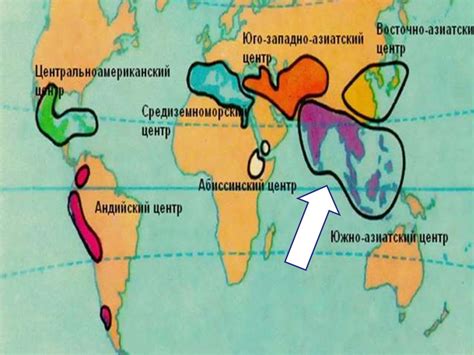 Теория происхождения и развития культурных растений