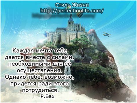 Тернистый путь и надежда: мистические знаки в снах с гнилыми помидорами и огурцами