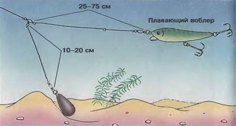 Техника ловли тараней с маломерных лодок