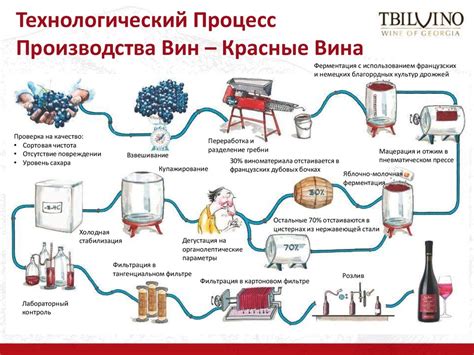 Технологический процесс производства вина