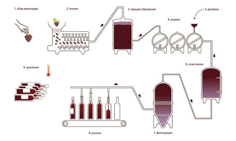 Технология производства вина с применением дрожжей