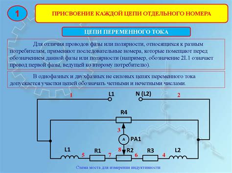 Типы внешних участков цепи