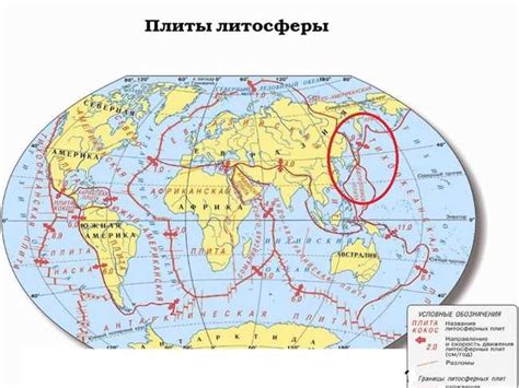 Типы плитных границ и их особенности