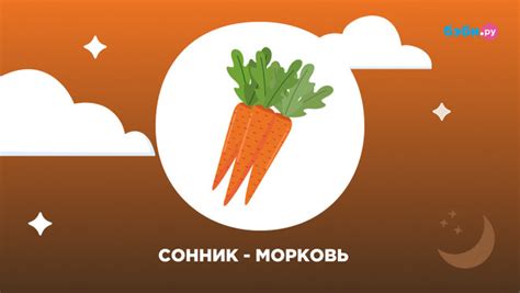 Толкование сновидений: морковь и свекла у женщин