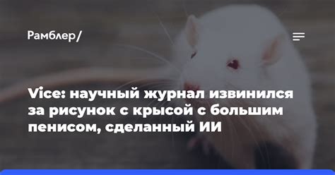 Толкование сновидения с крысой с длинным хвостом