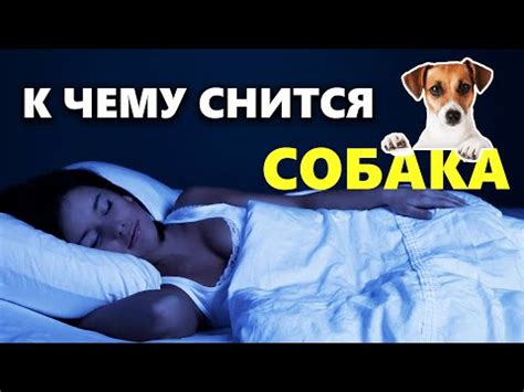 Толкование снов о скотине во дворе