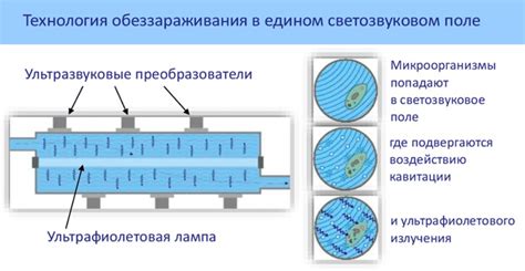 Топ способов обеззараживания расчески