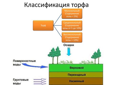 Торф: понятие и классификация