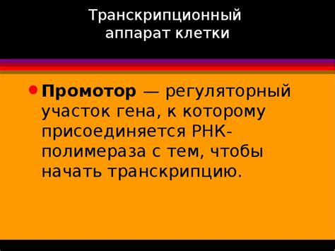 Транскрипционный регуляторный код