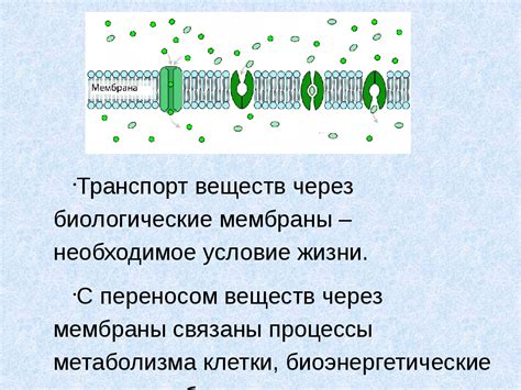 Транспорт питательных веществ внутри клетки