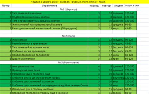 Тренировочная программа и структура