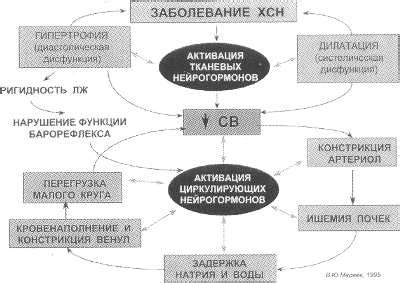 Тропонин и ХСН: возможные причины отрицательного значения