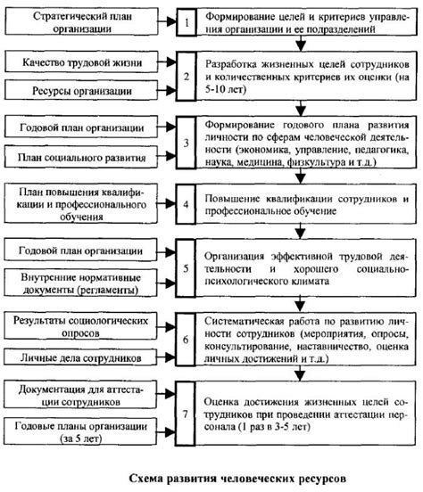 Трудовые навыки и накопленный опыт: ключевые элементы человеческих ресурсов