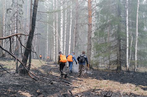 Тушение огня в Белоярском районе Свердловской области