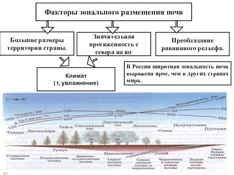 Увлажнение территории: факторы и причины