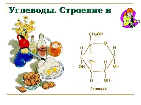 Углеводы и их функции