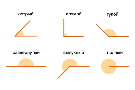 Угол: классификация и значимость